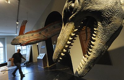 Exposición de monstruos en el Museo Natural de Historia (Kassel, Alemania)