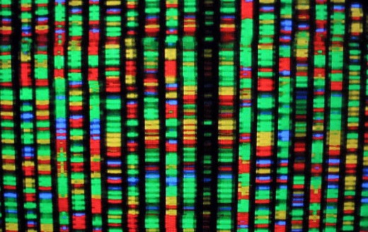 Representación digital del genoma humano. Cada color representa uno de los cuatro compuestos químicos del ADN