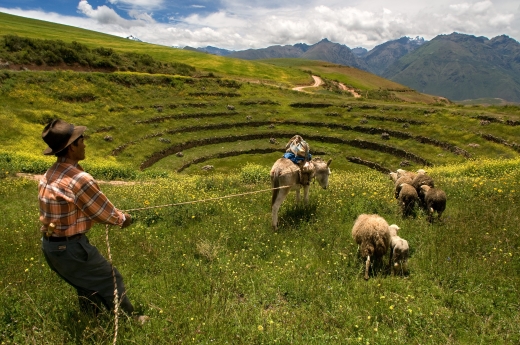 Valle Sagrado, Cuzco