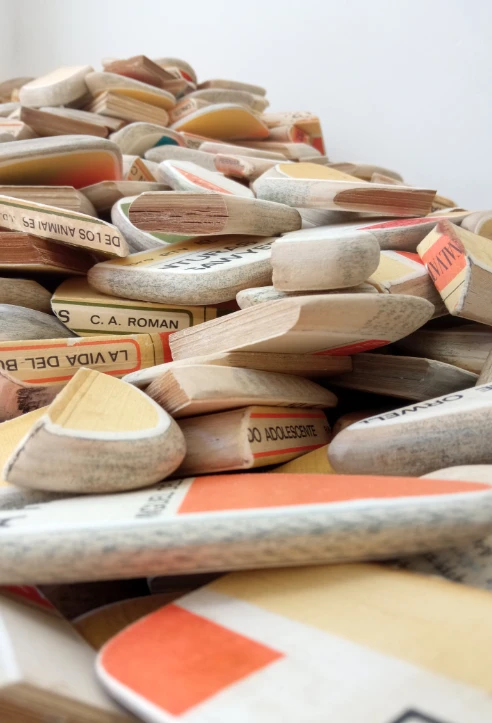 Elisa Terroba, Piedras. 2014-2022. Tecnica Mixta. Libros intervenidos