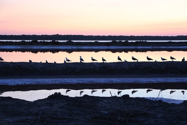 Salinas de Bonanza, Doñana. Imagen: Wikipedia