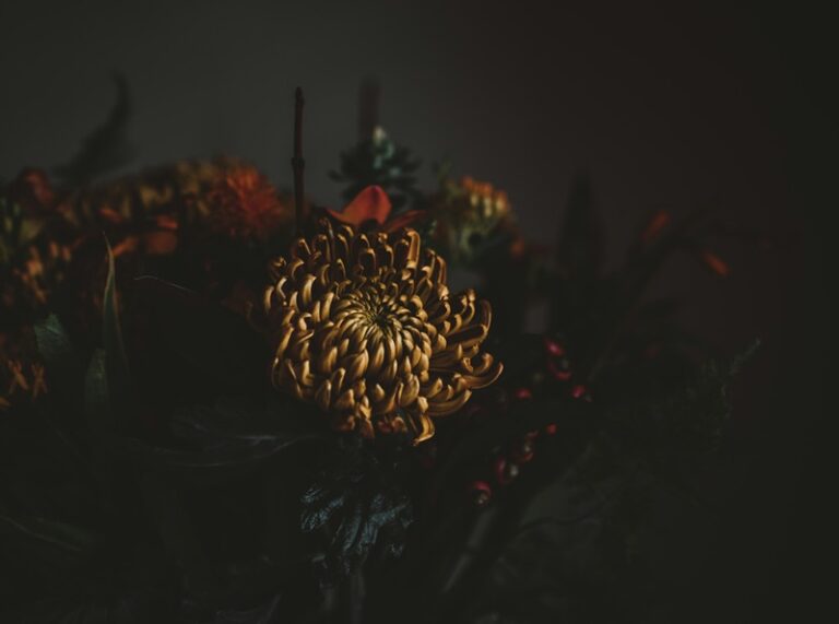 Naturaleza muy muerta. Imagen de Annie Spratt