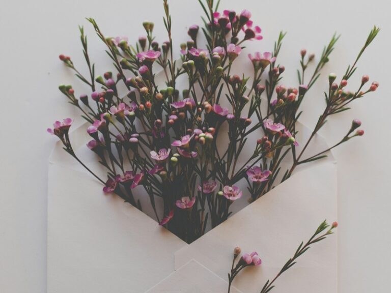 Flores en un sobre. Imagen de Sixteen Miles Out