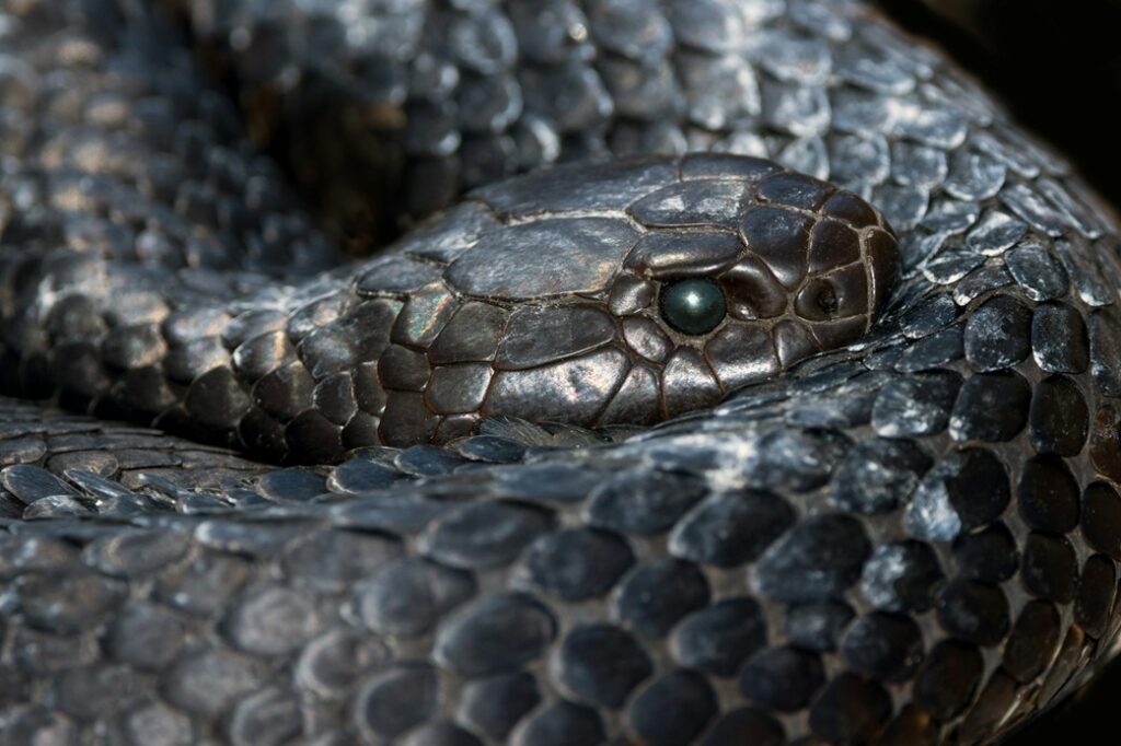 Imagen de David Clode