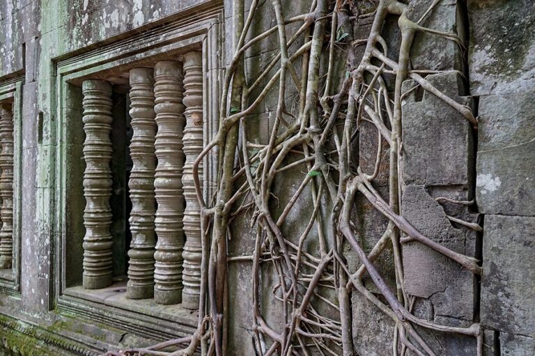 Ruinas del templo de Angkor Wat devoradas por la selva (Camboya)